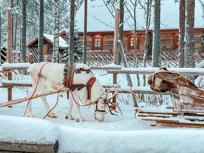 rovaniemi santa park