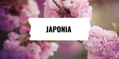 japonia hanami