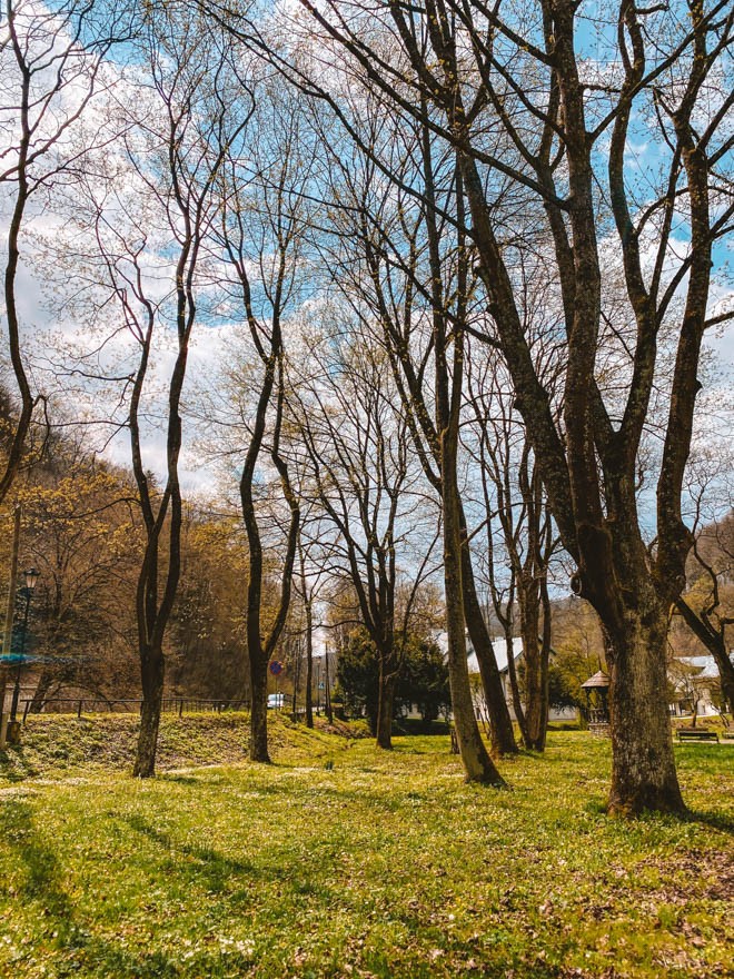 ojcowski park narodowy