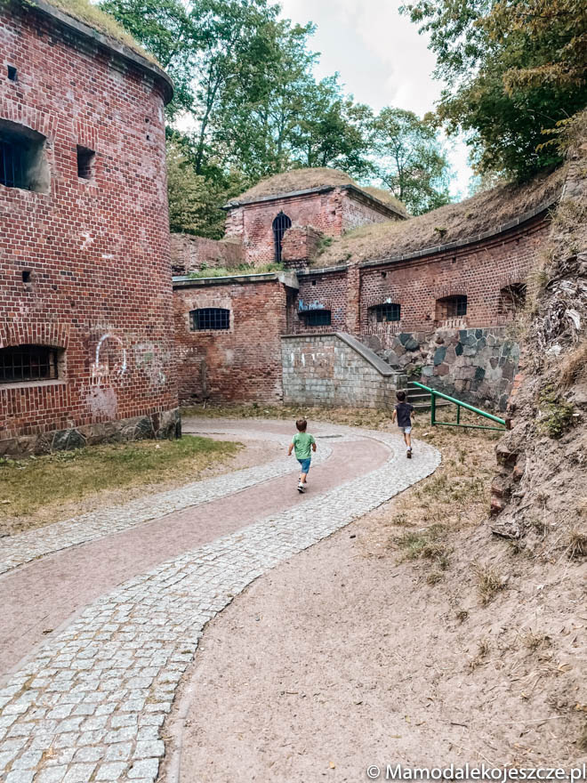 hevelianum gora gradowa gdansk