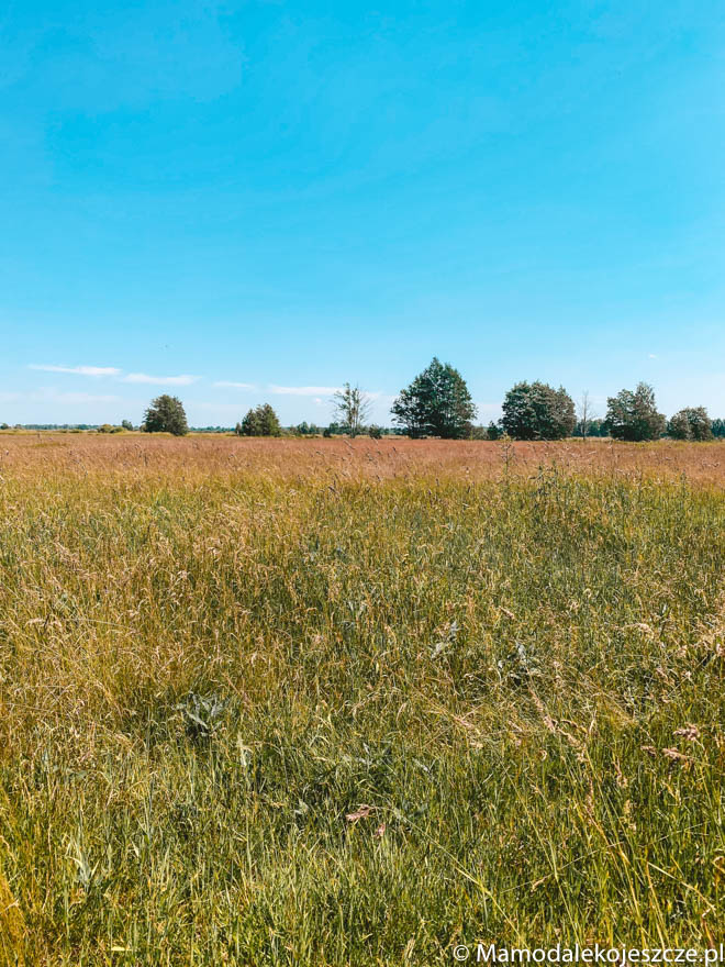 slowinski park narodowy sasino