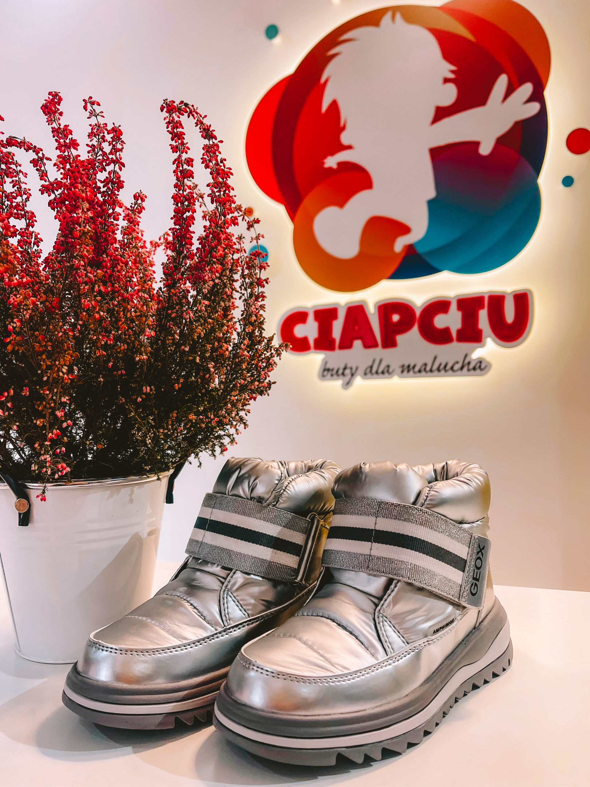 ciapciu