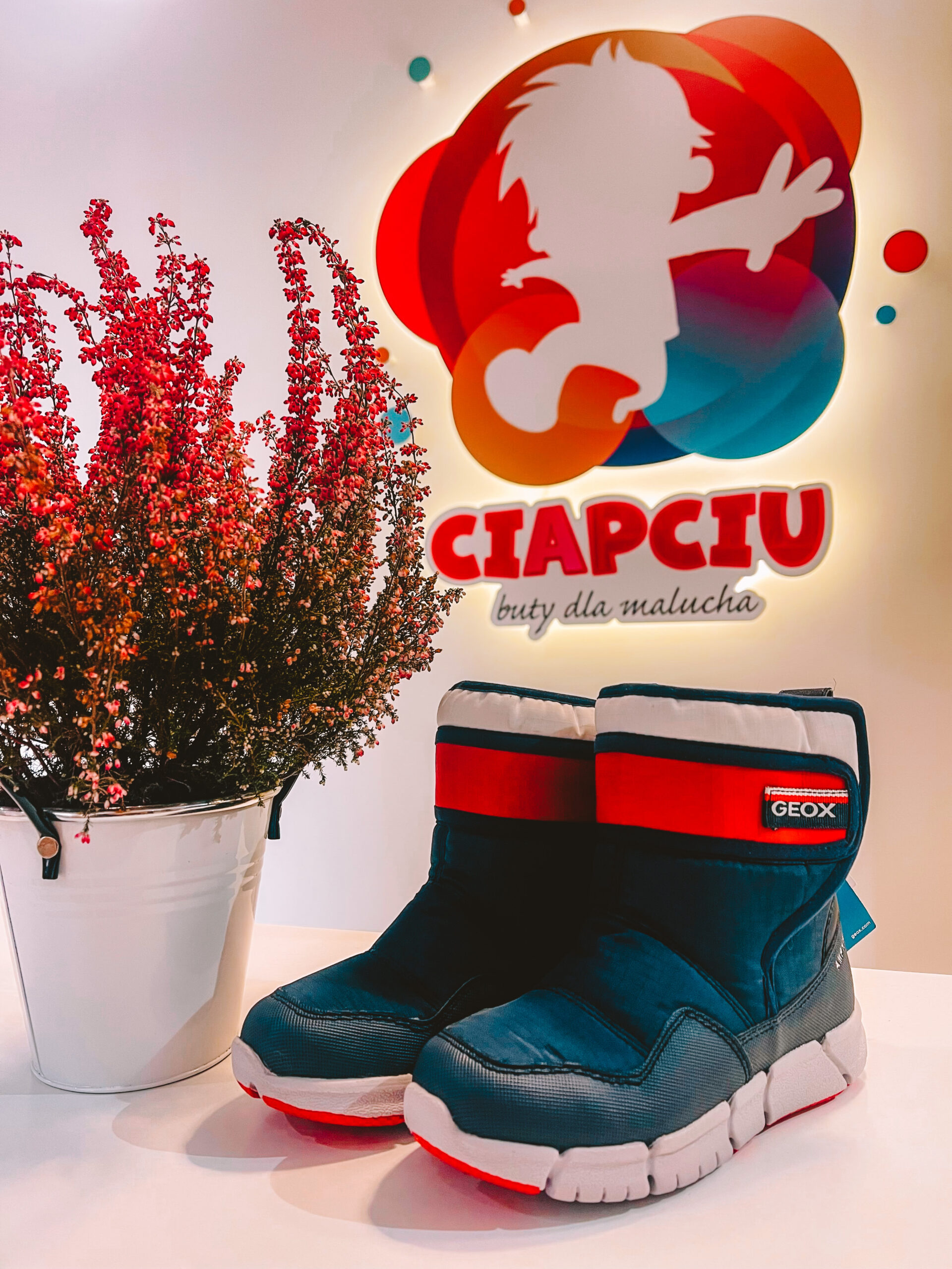 ciapciu