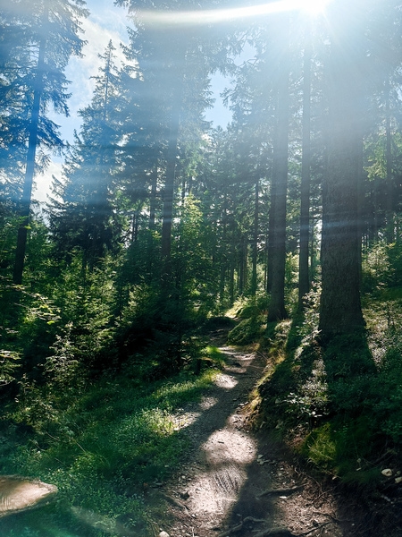 przygoda w gorach, swieradow zdroj